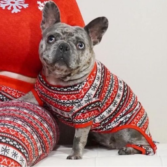 Doggy Christmas pjs - Picture 1 of 3
